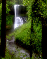 Silver Falls State Park
