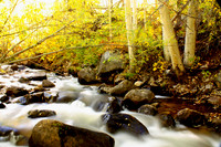 Cottonwood Creek 3