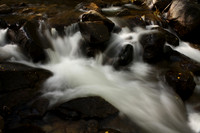 CottonWood Creek 5