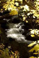 CottonWood Creek