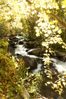 Cottonwood Creek 2