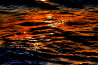 Florida Waves 2