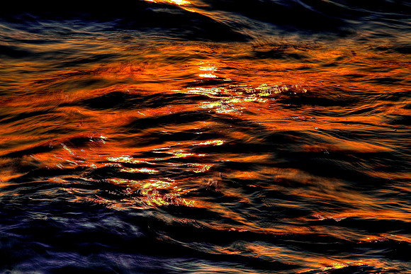 Florida Waves 2