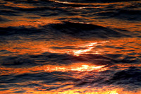 Florida Waves 1