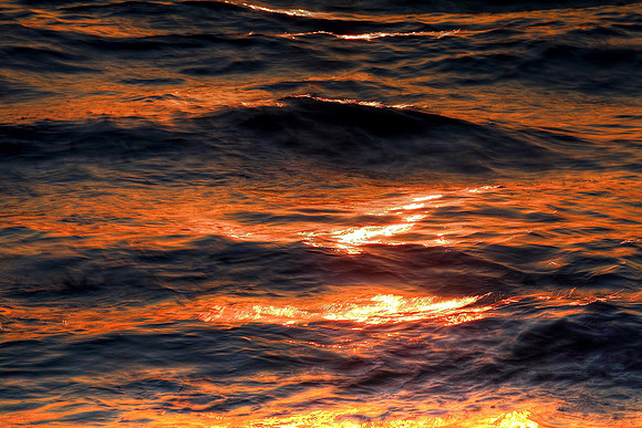 Florida Waves 1