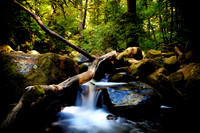 Oregon