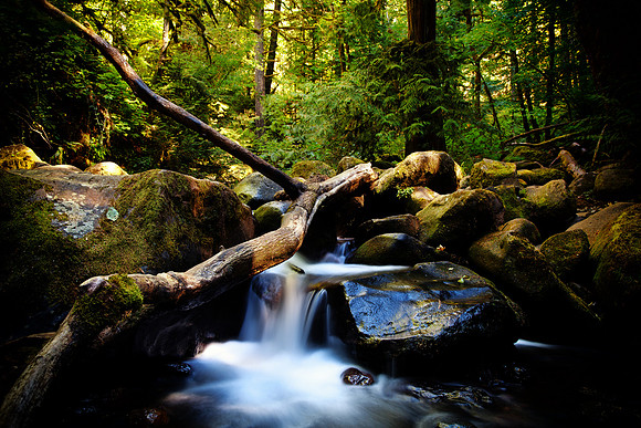 Golden Falls