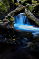 Little Falls in Logs