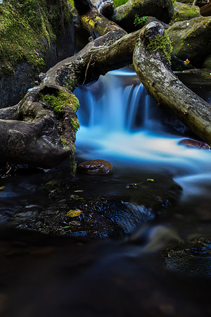 Little Falls in Logs